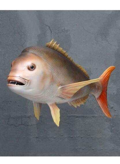 Snapper Fish Wall Hanging