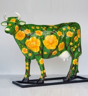 Spanish Sunflower Poppies Cow (with or without Horns)