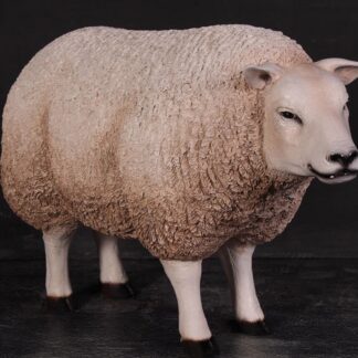 Texelaar Ewe Sheep Statue with Head Up