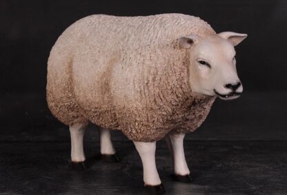 Texelaar Ewe Sheep Statue with Head Up