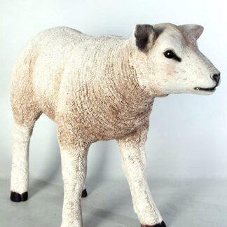 Lamb Statue White Texelaar Sheep