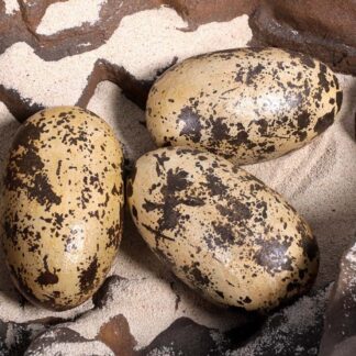 Theropod Egg 12" Statue