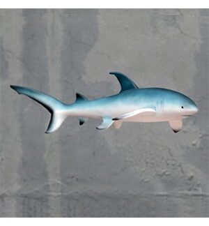 Thresher Shark