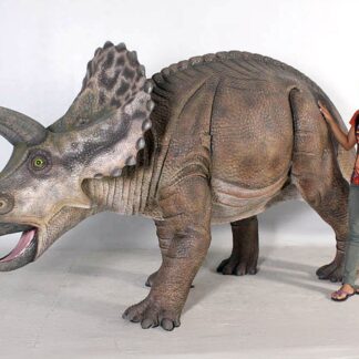 Triceratops Dinosaur Statue