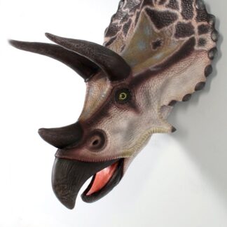 Triceratops Head Wall Mount