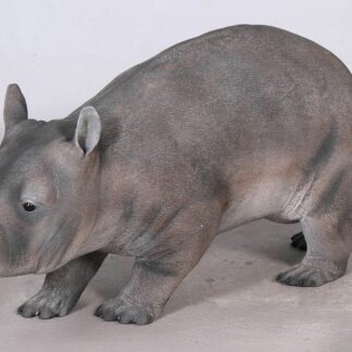 Hairy Nosed Wombat Statue