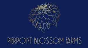 Pierpont Blossom Farm